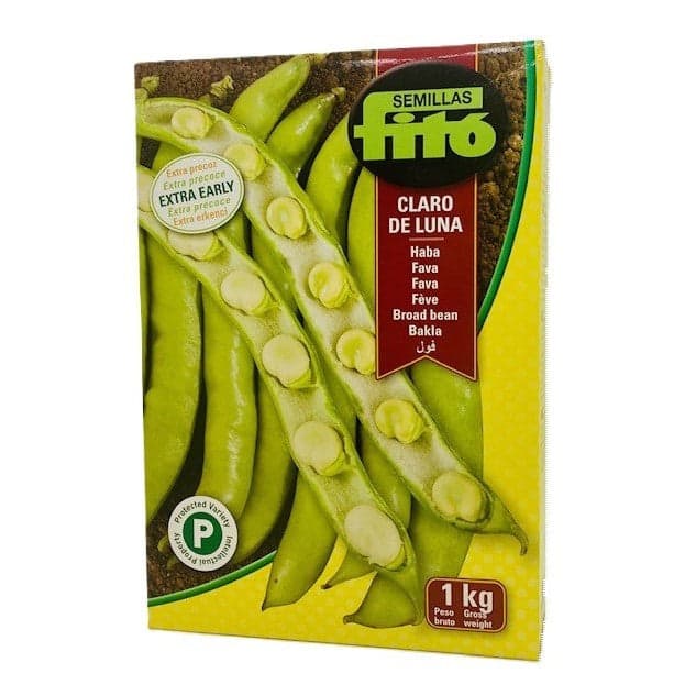 Fava Claro De Luna Kg.1 Semi Fito in Vegetali Taliachicce.it - Milazzo, commercioVirtuoso.it