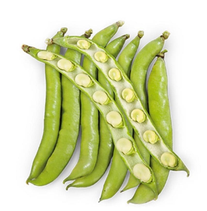 Fava Claro De Luna Kg.1 Semi Fito in Vegetali Taliachicce.it - Milazzo, commercioVirtuoso.it