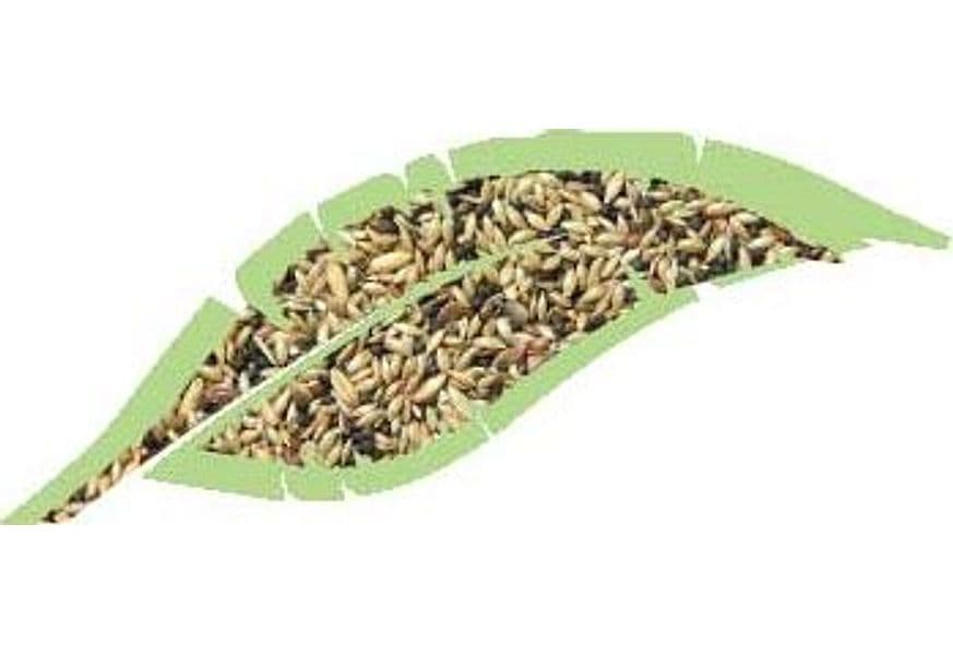 Canarini Mix Kg.1 in Mangime Taliachicce.it - Milazzo, commercioVirtuoso.it