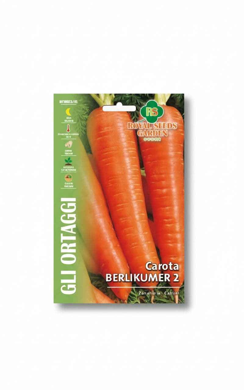 Carota Berlikumer 2 in Pinze da giardino Taliachicce.it - Milazzo, commercioVirtuoso.it