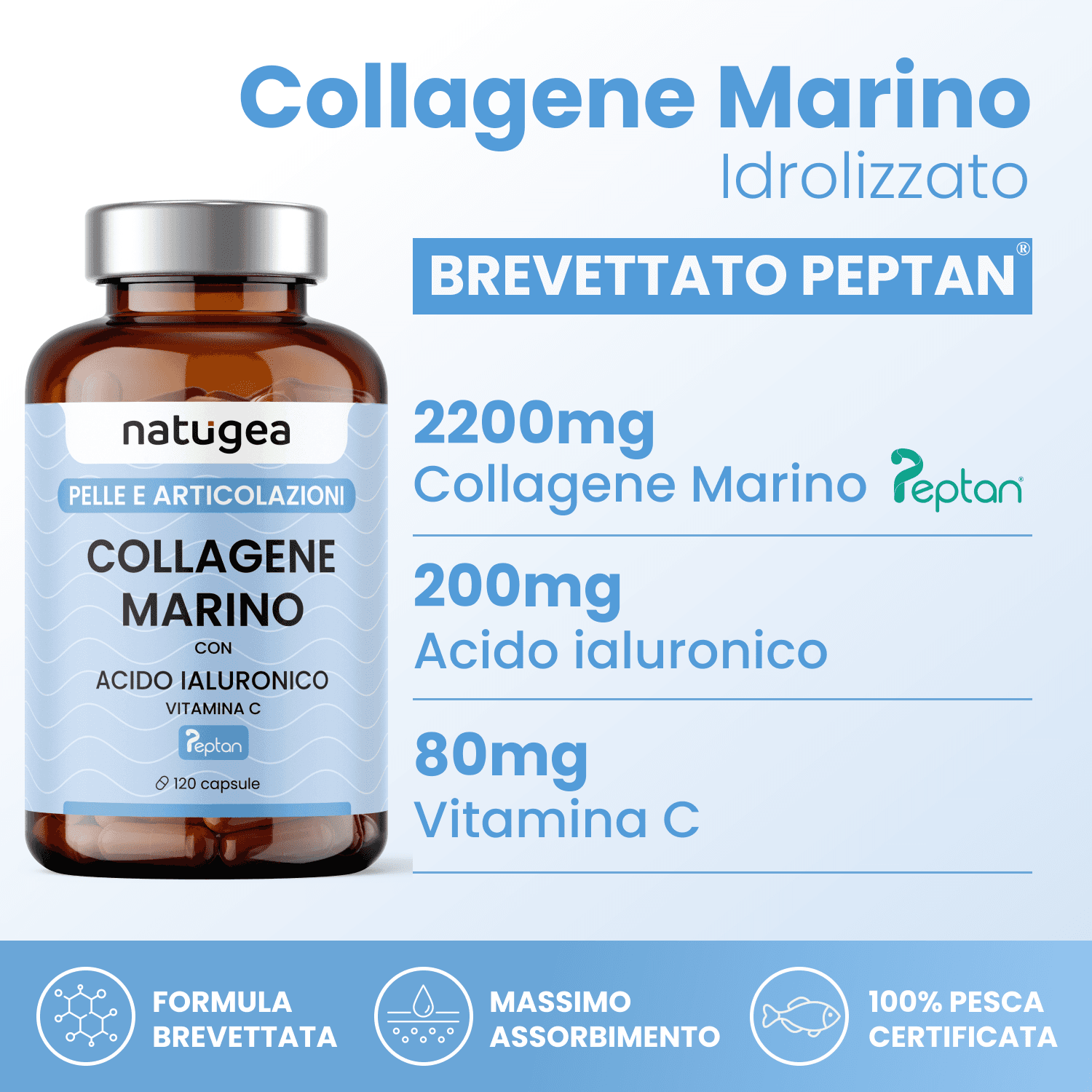 Collagene Marino Idrolizzato Peptan F HD in Collagene Natugea - Pavia, commercioVirtuoso.it