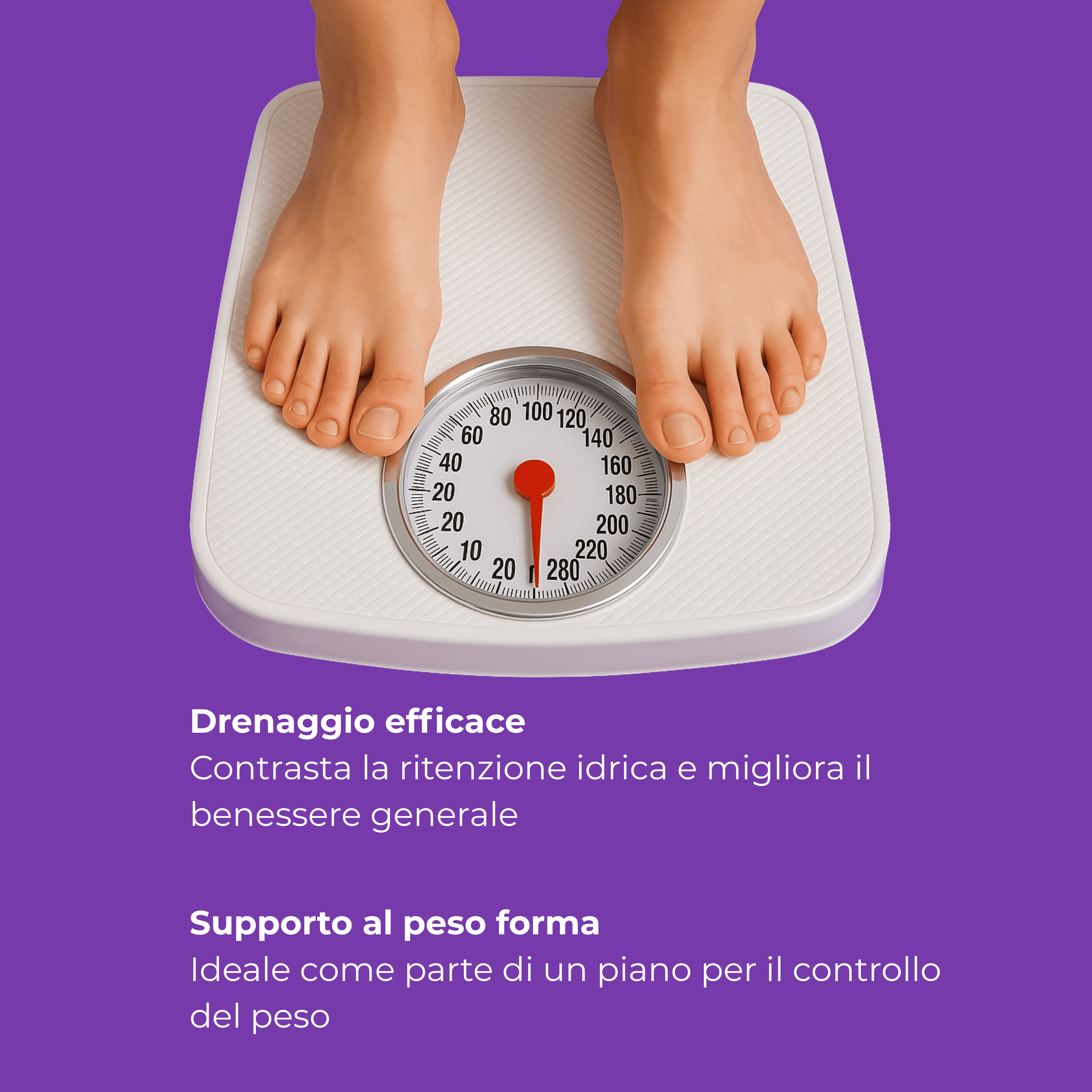 Aloe Brucia Grassi Integratore Per Dimagrire Alimentare Dimagrante Forte 60 Compresse Dimagrante Integratore Naturale in Bruciatori di grasso BasketGuru Italia - Palermo, commercioVirtuoso.it