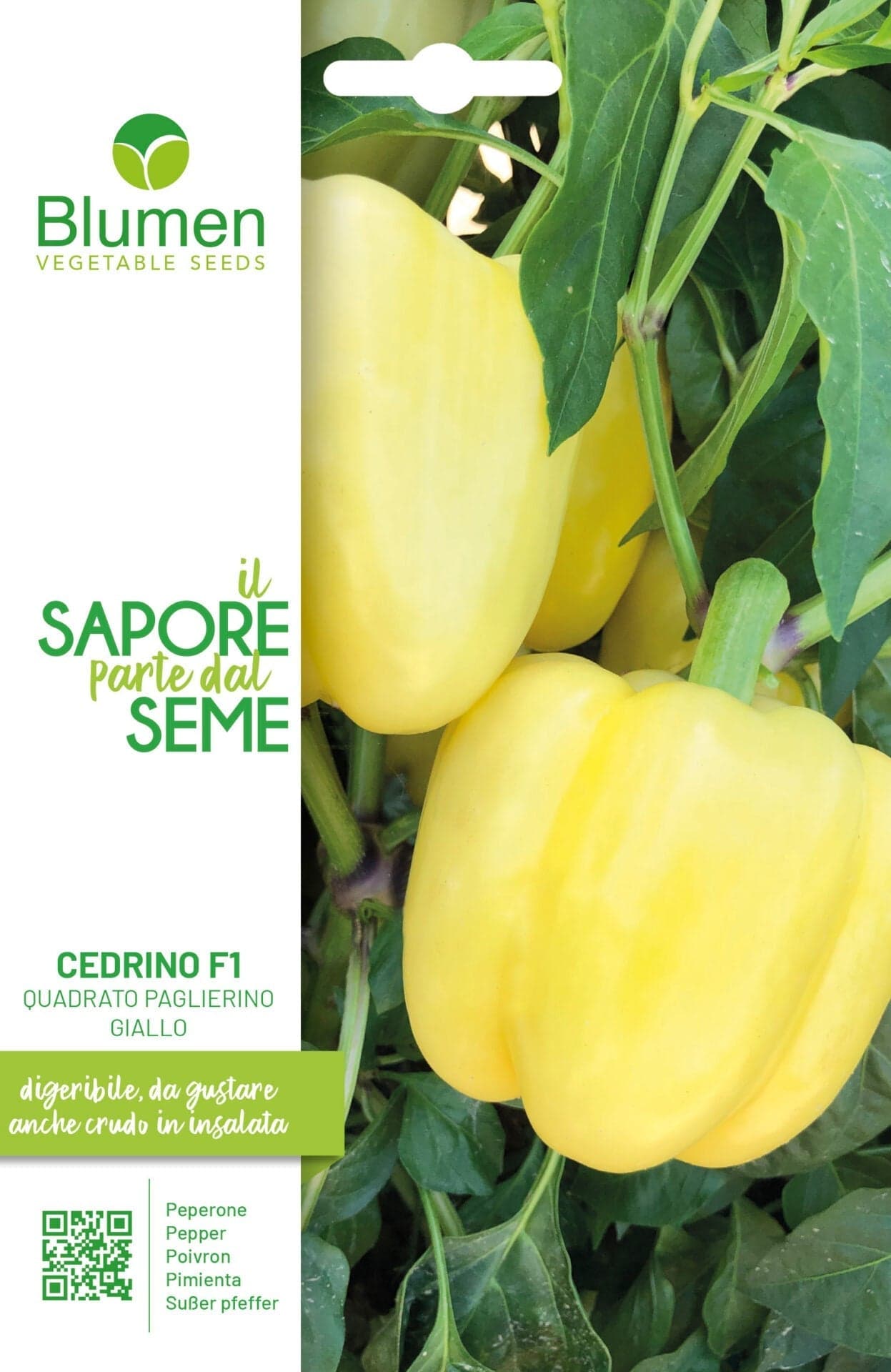 Peperone Cedrino F1 Quadrato Paglierino Giallo Semi Blumen