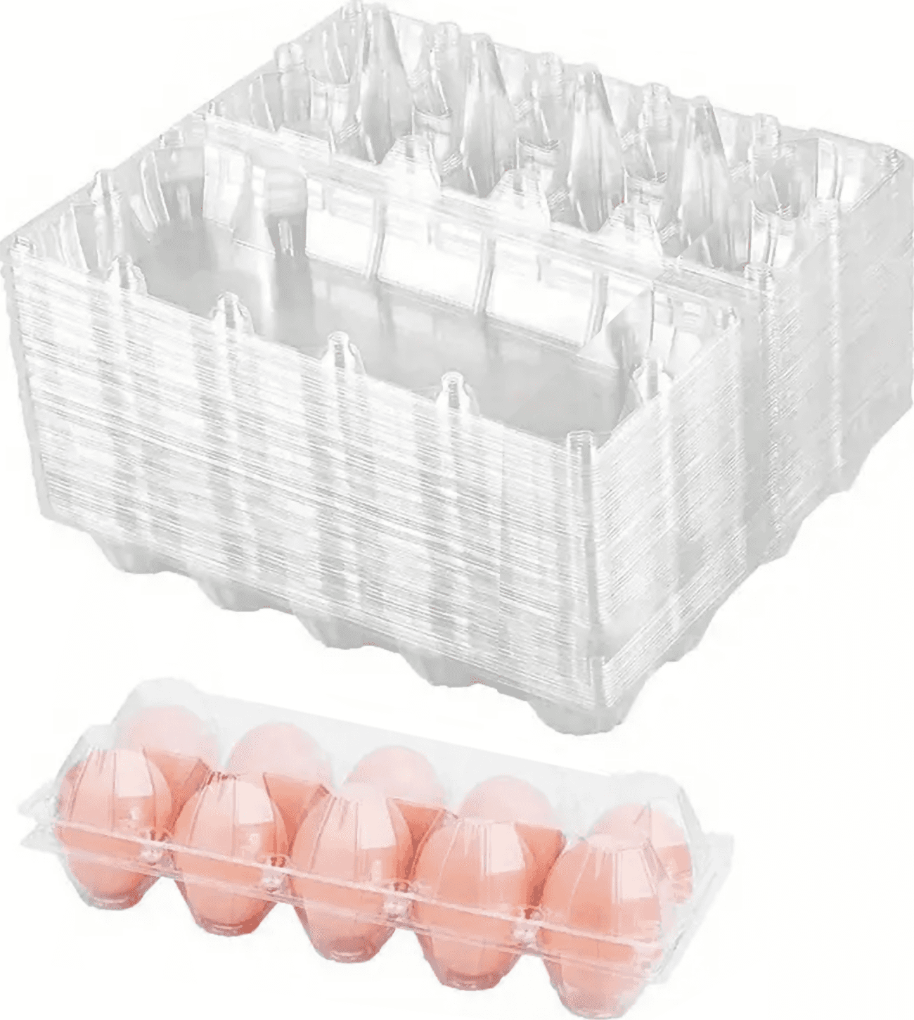 50x Contenitori Portauova Da 10 Uova in Plastica Trasparenti Da Materiale Riciclato