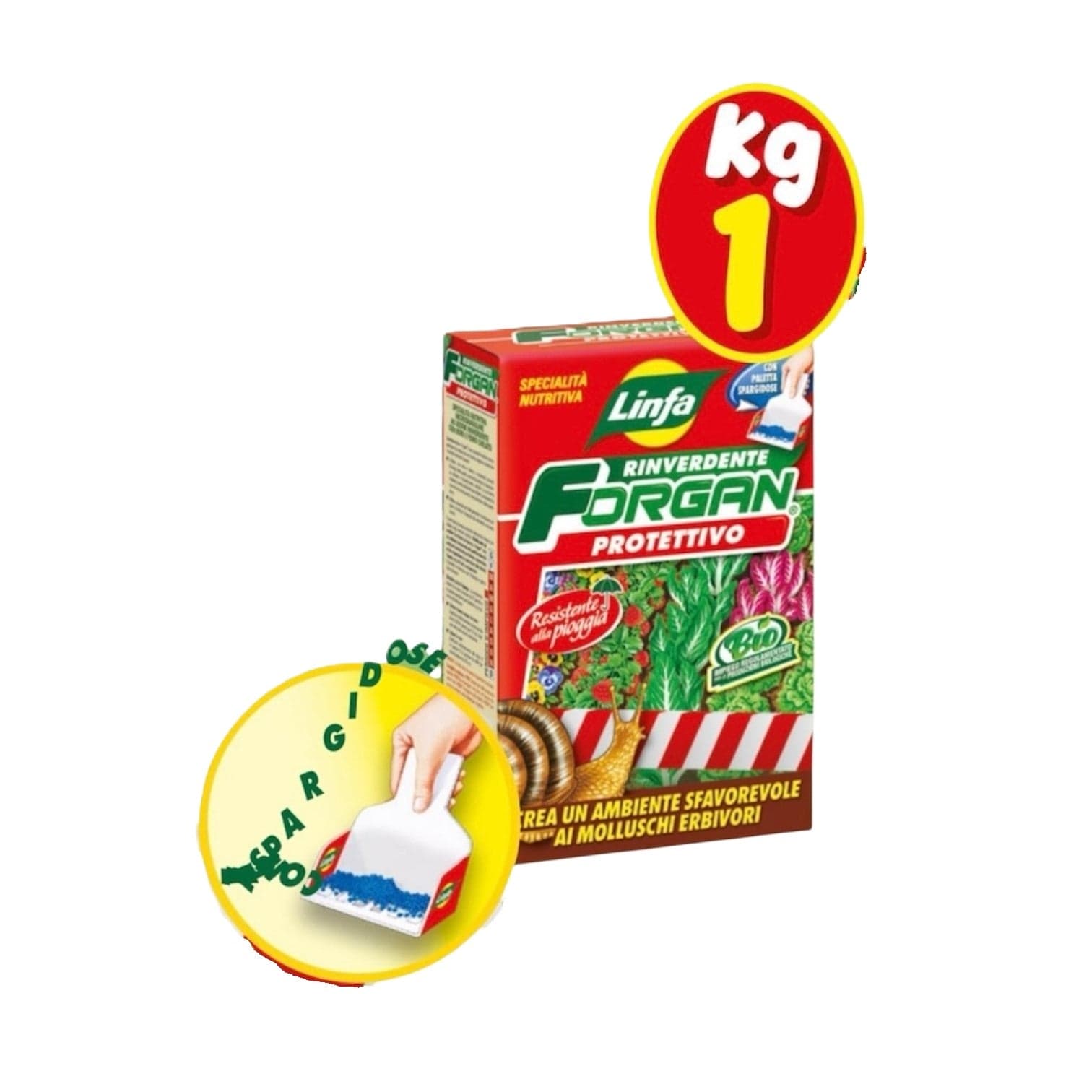 Forgan Kg 1 Specialità Nutritiva Microgranulare ad Azione Rinverdente con Boro e Ferro Chelato Linfa in Autocategorizzazione Taliachicce.it - Milazzo, commercioVirtuoso.it
