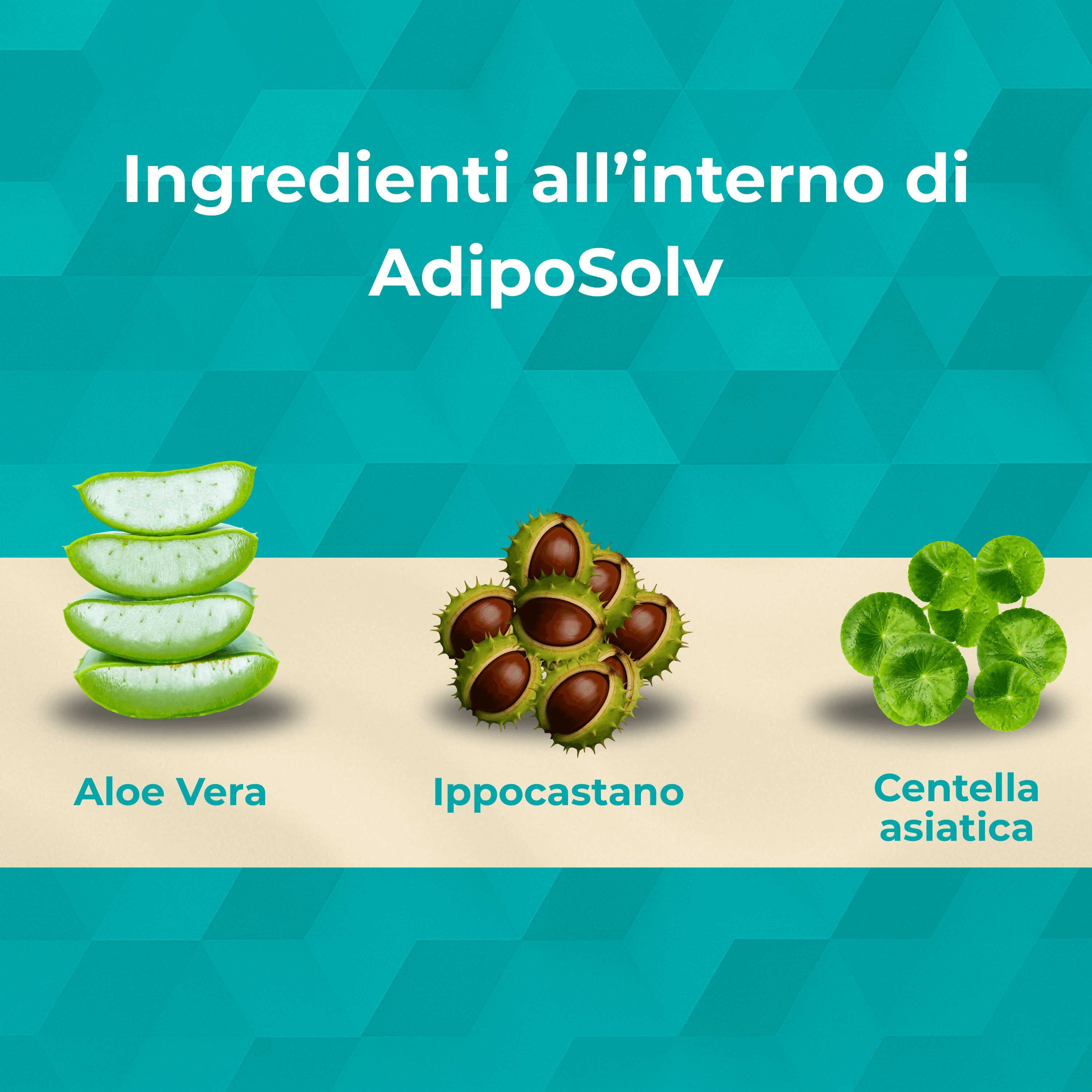 Adiposolv Crema Snellente Pancia e Fianchi – Brucia Grassi e Anticellulite Forte – Trattamento Intensivo con Drone Cosmetico – Rassodante Corpo 200ml – AlohaLabs in Rassodanti e tonificanti per il corpo BasketGuru Italia - Palermo, commercioVirtuoso.it