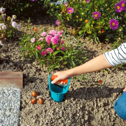 Piantabulbi in Acciaio a Rilascio Automatico con Scala di Profondità Gardena in Autocategorizzazione Taliachicce.it - Milazzo, commercioVirtuoso.it