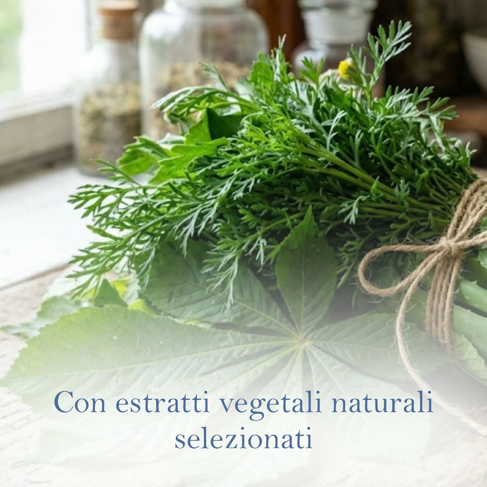 Venicalm Crema rinfrescante e lenitiva con estratti naturali 100ml - con Ippocastano e centella Asiatica in Creme BasketGuru Italia - Palermo, commercioVirtuoso.it