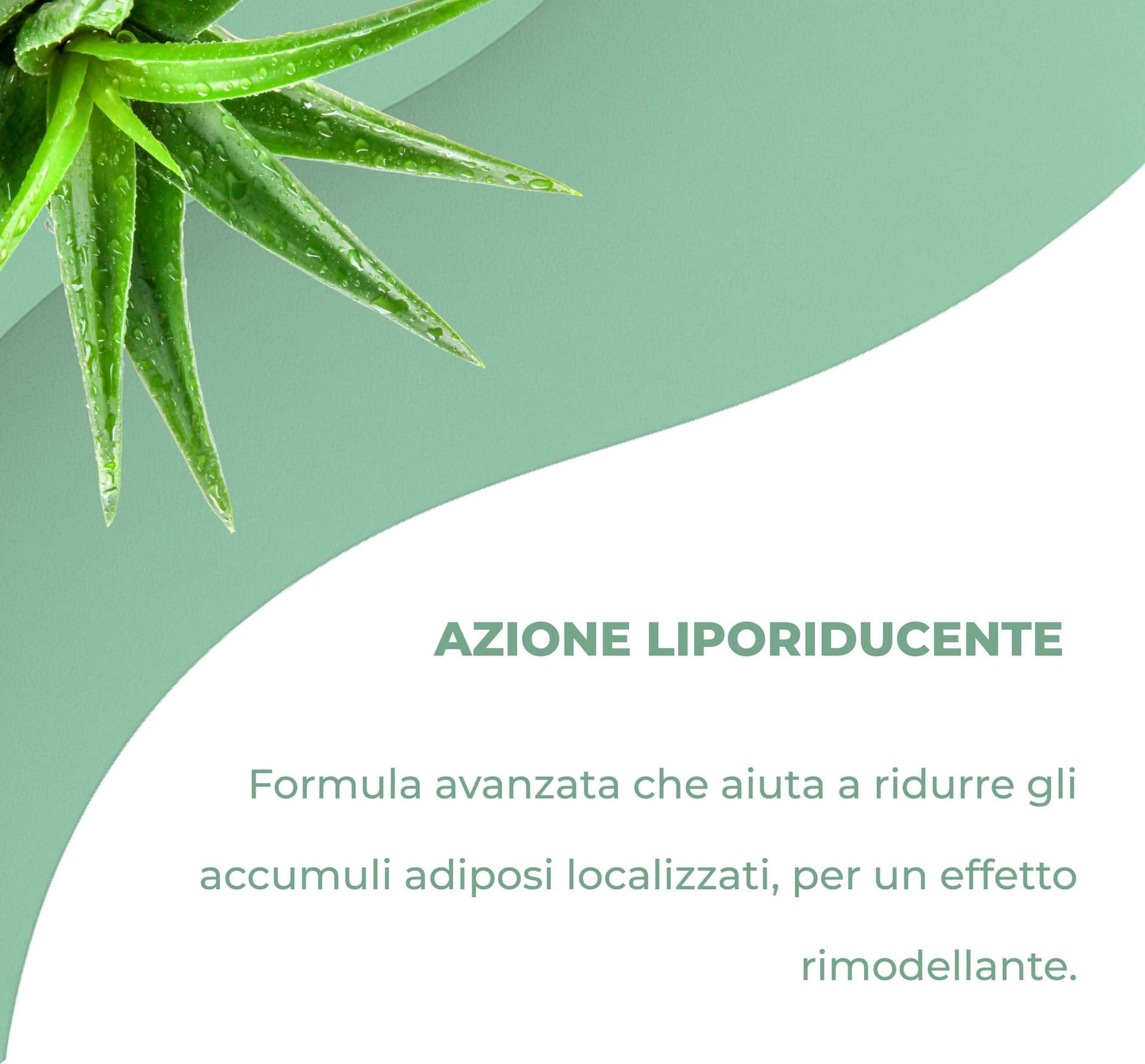 Crema Snellente Anticellulite - Effetto Tonificante e Rassodante con Sensazione di Freschezza | Formula Drenante per Gambe, Glutei e Addome | AdipoZero - Texture Leggera e Facile da Applicare 200ml in Rassodanti e tonificanti per il corpo BasketGuru Italia - Palermo, commercioVirtuoso.it