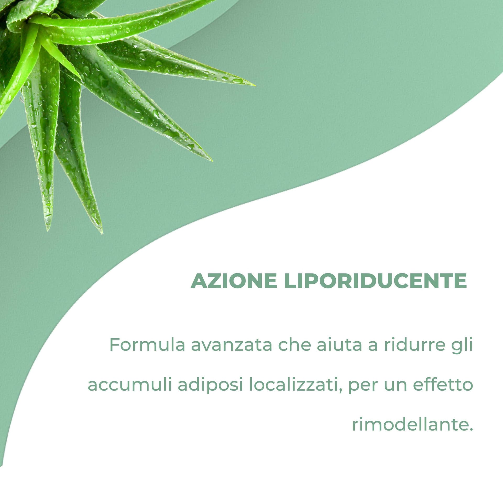Crema Snellente Anticellulite - Effetto Tonificante e Rassodante con Sensazione di Freschezza | Formula Drenante per Gambe, Glutei e Addome | AdipoZero - Texture Leggera e Facile da Applicare 200ml in Rassodanti e tonificanti per il corpo BasketGuru Italia - Palermo, commercioVirtuoso.it