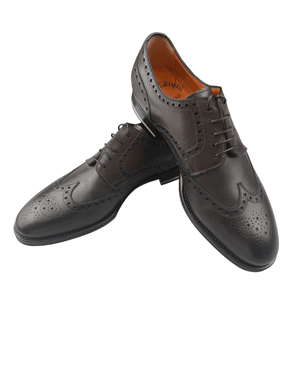 Scarpa Uomo Santoni - Derby Stringate Brogue Rondine Pelle testa di moro in Scarpe stringate basse Couture - Sestu, commercioVirtuoso.it
