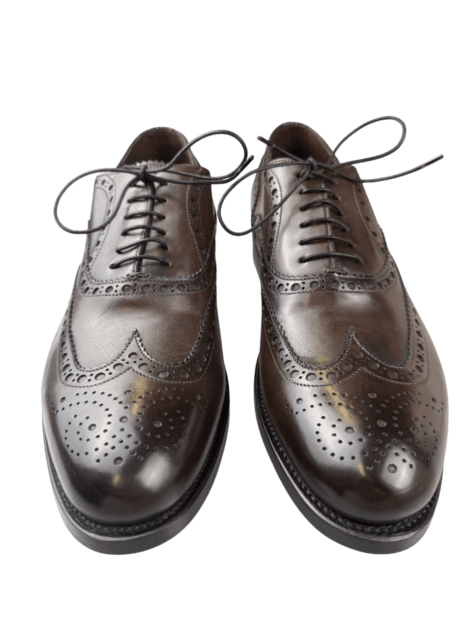 Scarpa Uomo Santoni - Oxford Stringate Brogue pelle Testa di moro in Scarpe Couture - Sestu, commercioVirtuoso.it