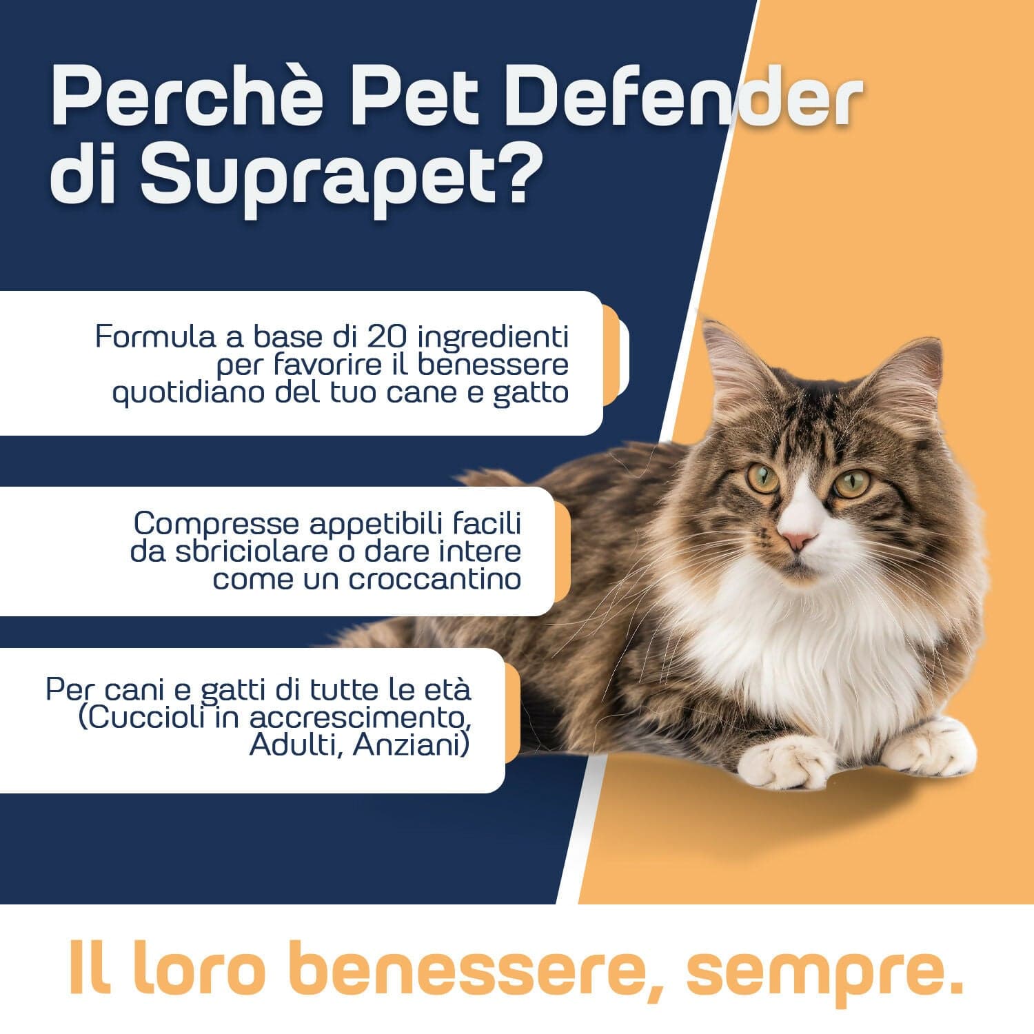 360-pet-2