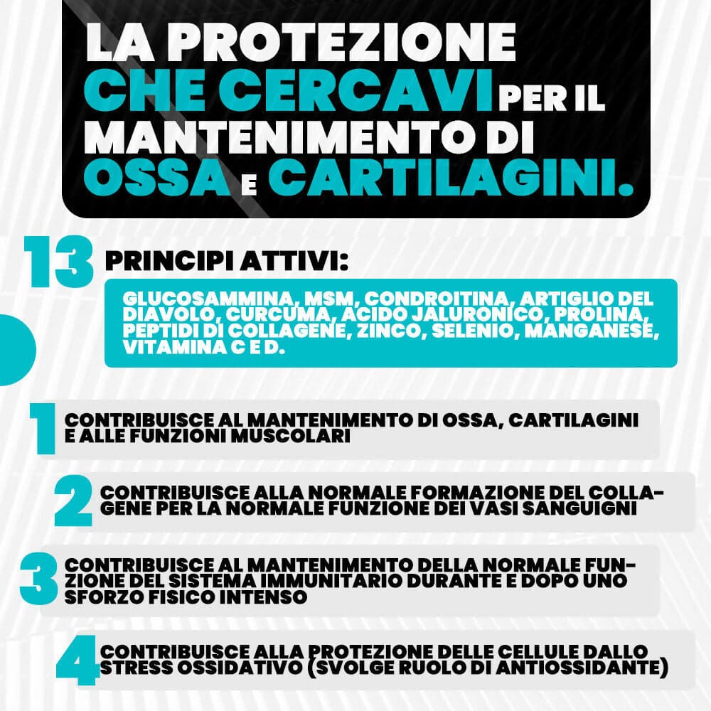 Integratore Per Articolazioni Ossa E Cartilagini Articoss T-rex Integratori Con Glucosamina Condroitina Msm Artiglio Del Diavolo, Vitamina C E Vitamina D, Collagene E Acido Ialuronico. 60 Compresse in Glucosamina MyLab Nutrition - Roma, commercioVirtuoso.it