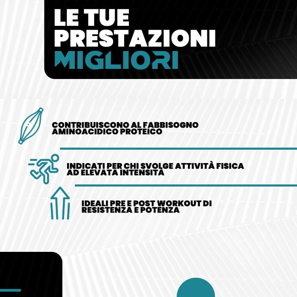 Tutto2
