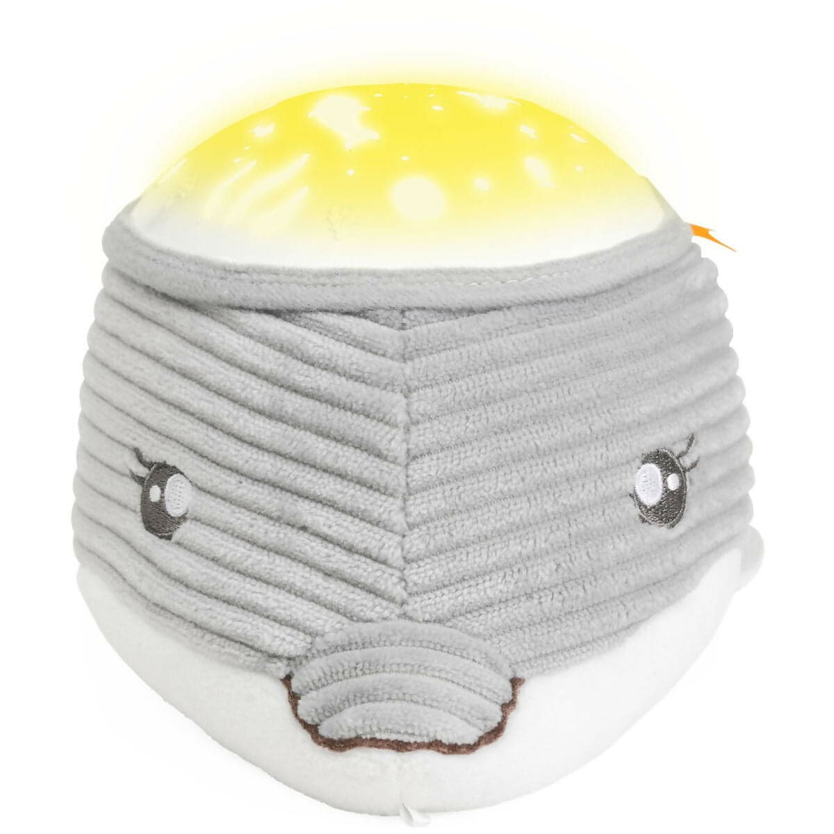 CHICCO Delfino Dolce Notte - Tenero Peluche - Morbido Peluche Elettronico per Bambini, Imbottitura Morbida, 30 Minuti di attività, Luce Soffusa, 0 Mesi + in Giochi musicali Sanitaria Gioia del Bimbo - Villa San Giovanni, commercioVirtuoso.it