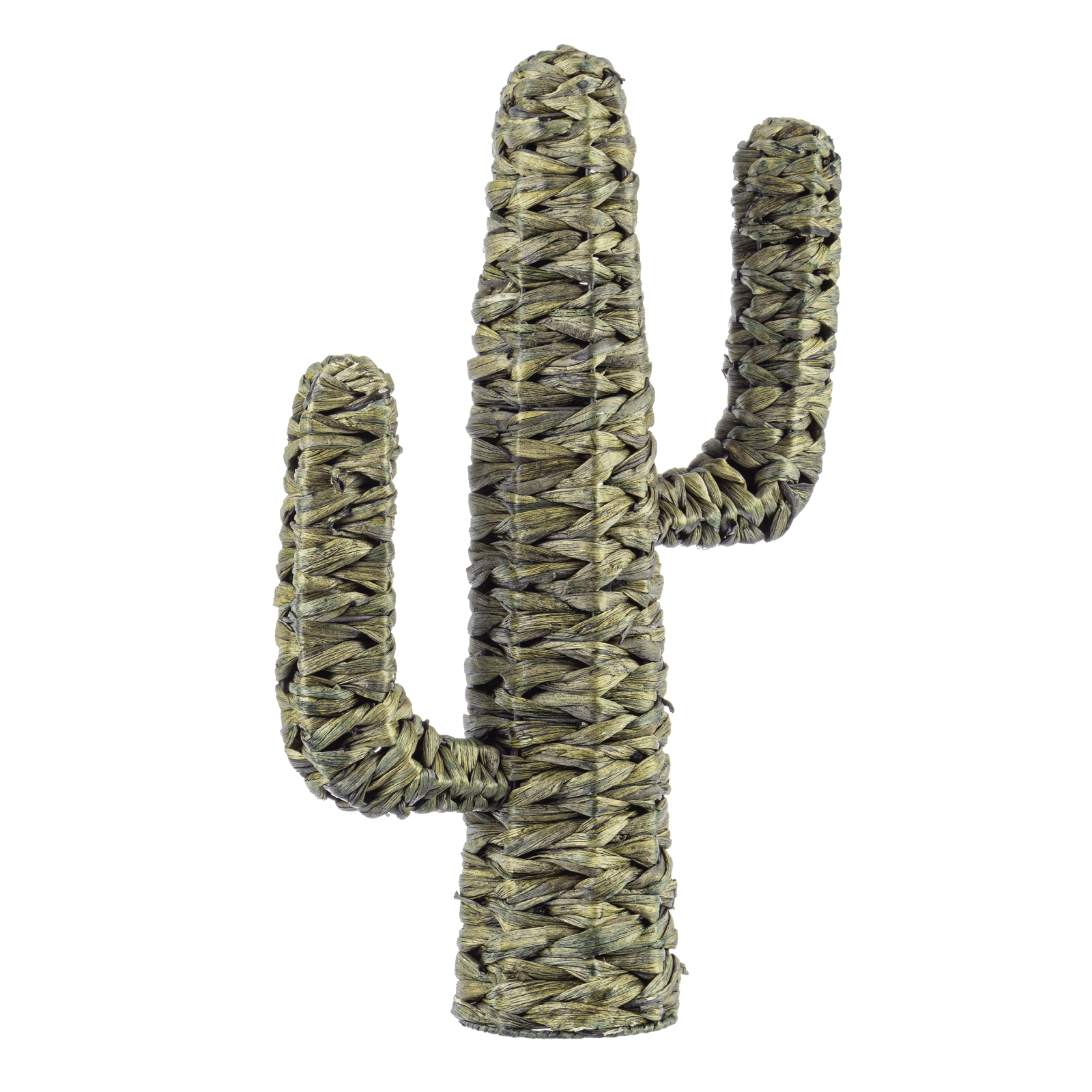 Cactus saguro; prodotto realizzato in materiale vegetale e metallo . - 3