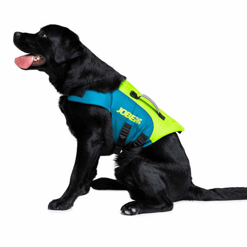 PET VEST TG. L