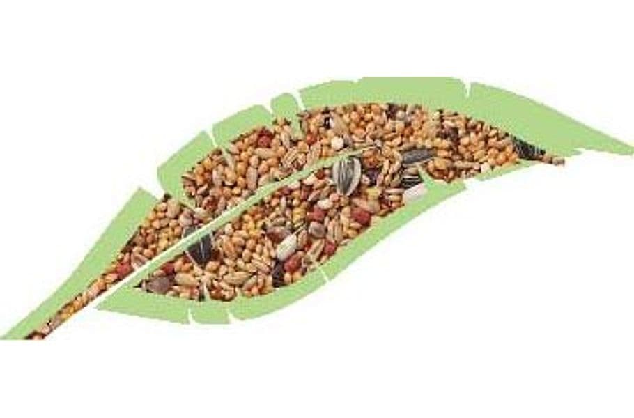 Parrocchietti Mix Kg.1 in Mangime Taliachicce.it - Milazzo, commercioVirtuoso.it