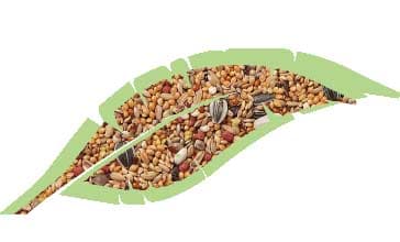Parrocchietti Mix Kg.1 in Mangime Taliachicce.it - Milazzo, commercioVirtuoso.it
