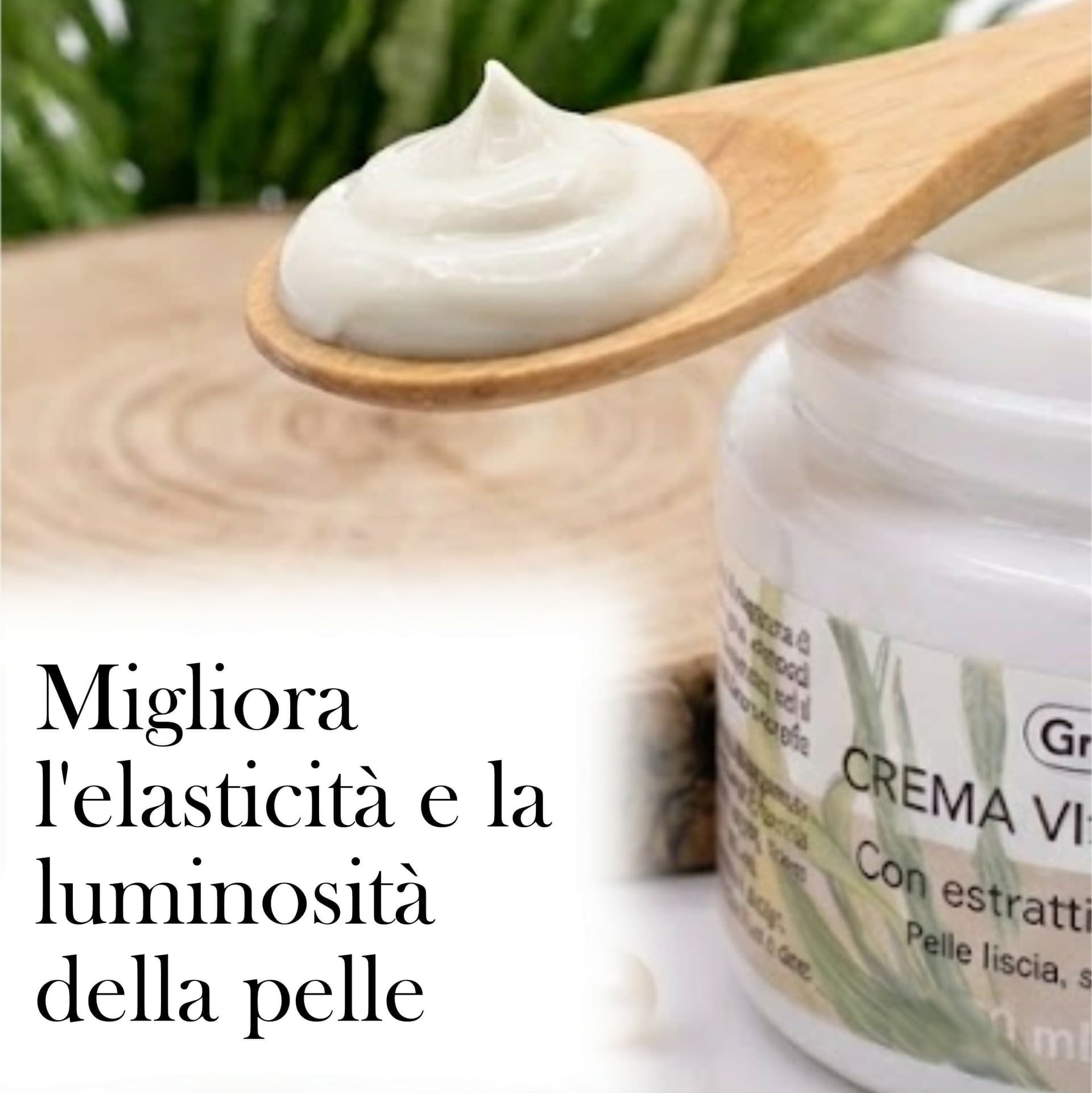 Crema Viso Anti-Age alla Spirulina – 50 ml – Trattamento Idratante e Nutriente per Pelle Liscia, Elastica e Luminosa – Senza Parabeni in Creme BasketGuru Italia - Palermo, commercioVirtuoso.it