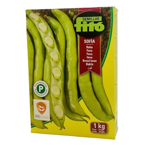 Fava Sofia Kg.1 Semi Fito in Giochi musicali Taliachicce.it - Milazzo, commercioVirtuoso.it