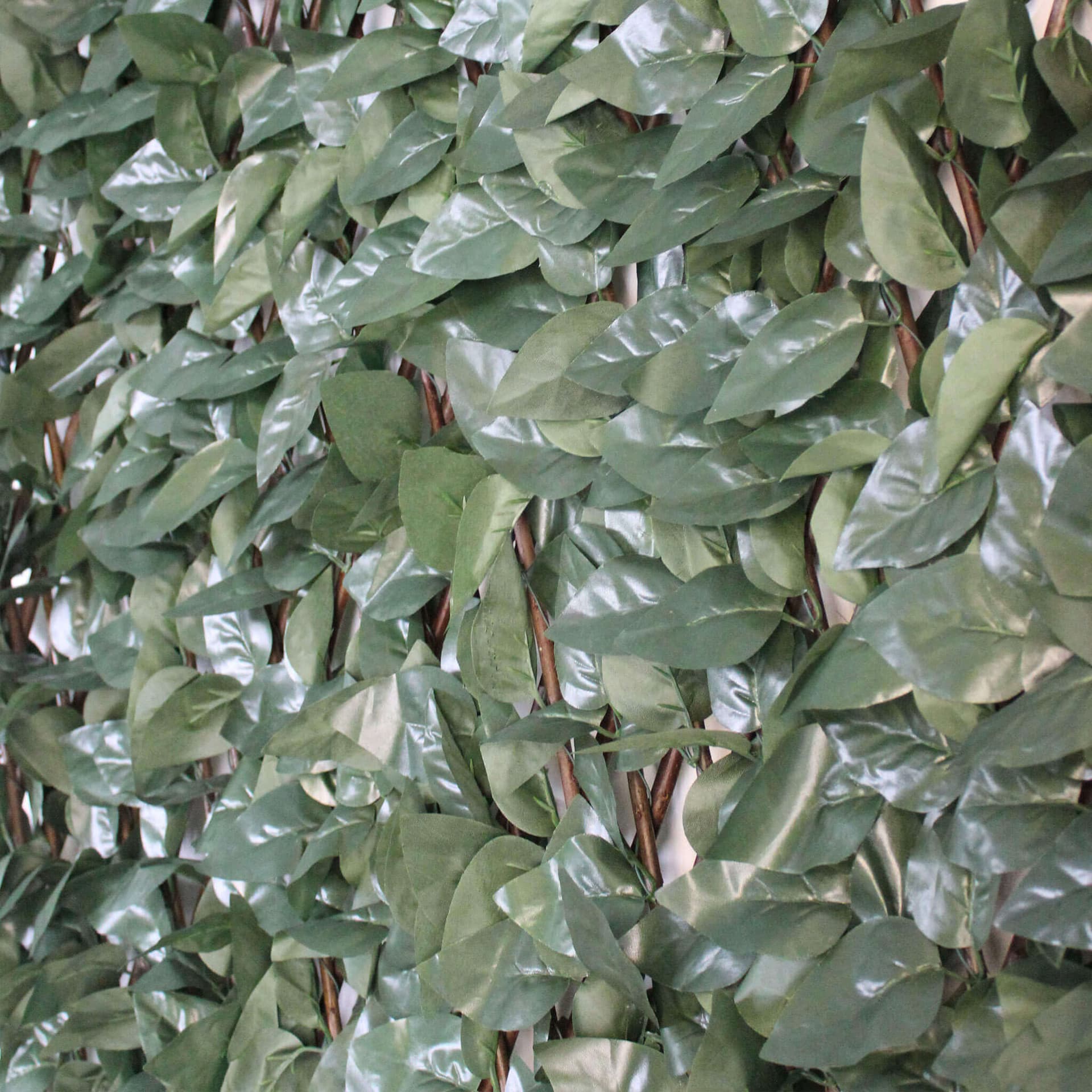 Siepe artificiale 100x200 Verde in Recinzioni decorative Milani Home - Dueville, commercioVirtuoso.it