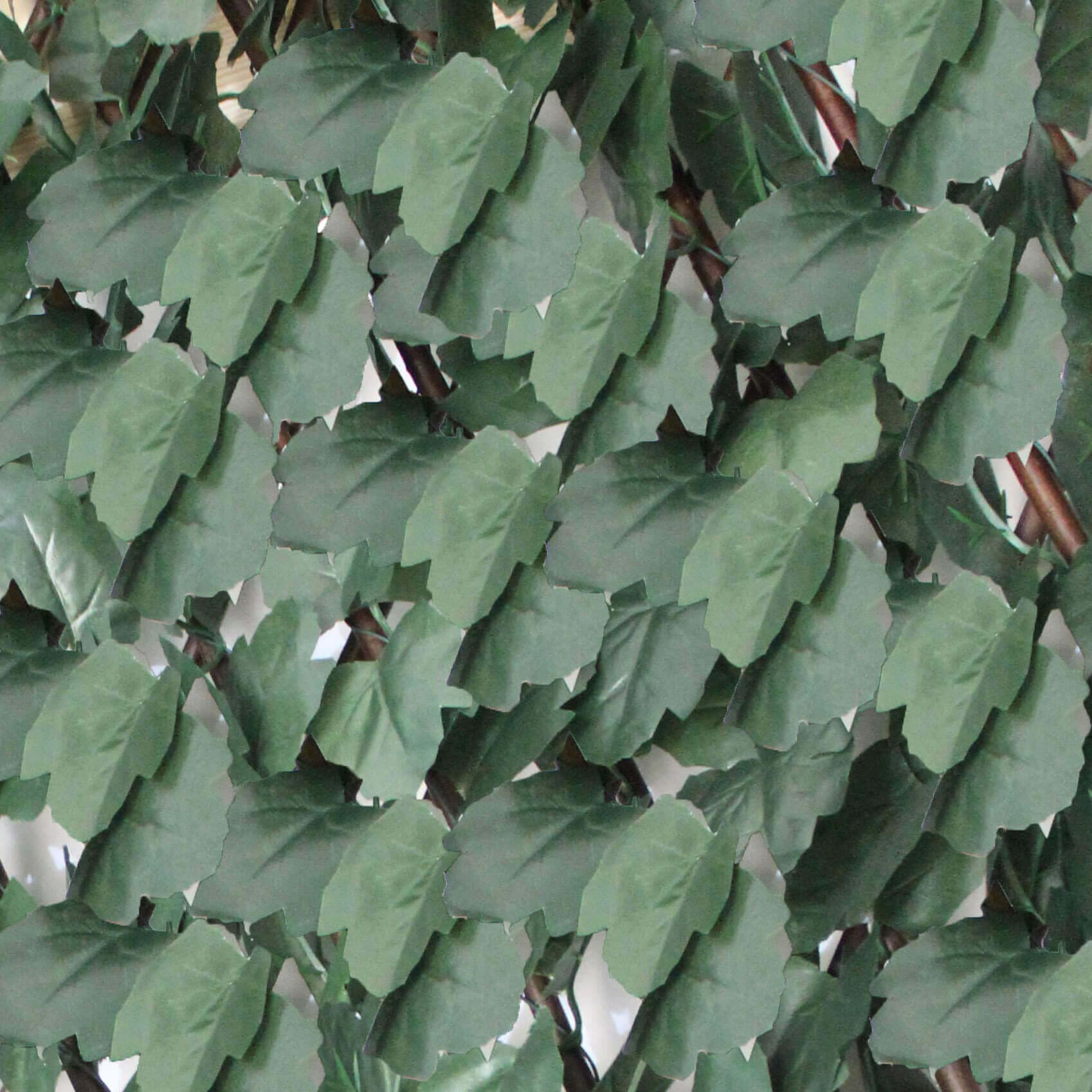 Siepe artificiale 100x200 Verde in Recinzioni decorative Milani Home - Dueville, commercioVirtuoso.it