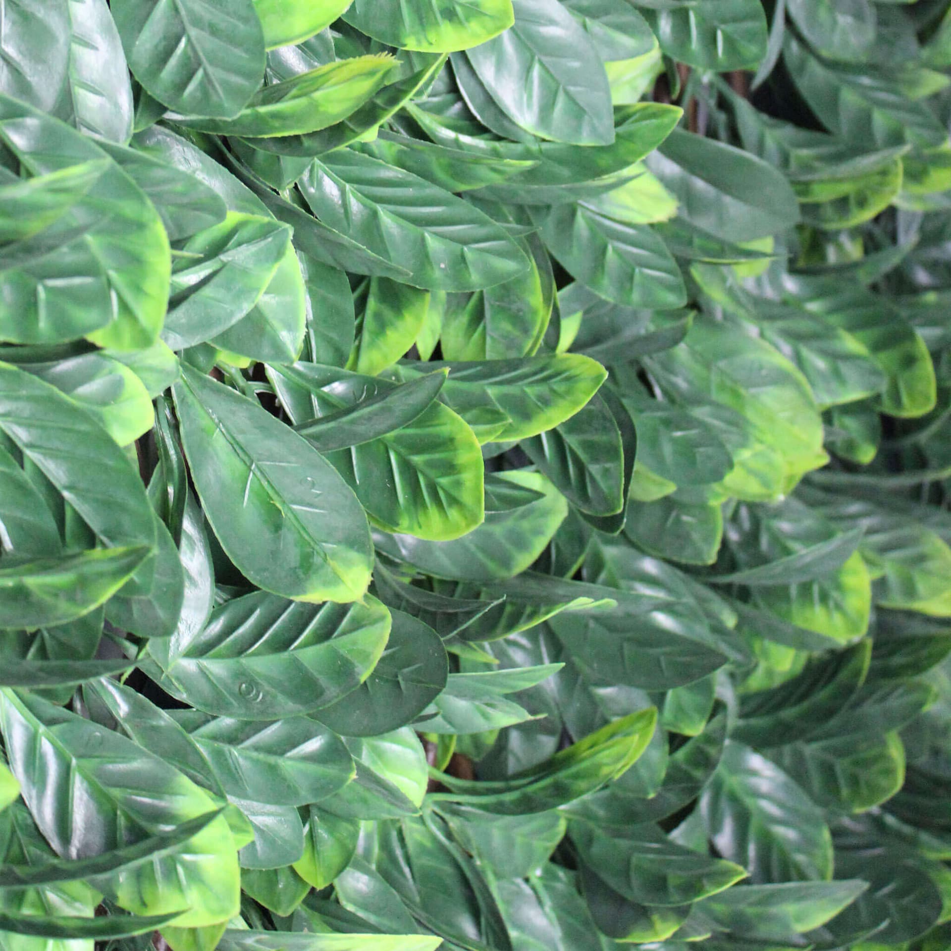 Siepe artificiale 100x200 Verde in Recinzioni decorative Milani Home - Dueville, commercioVirtuoso.it