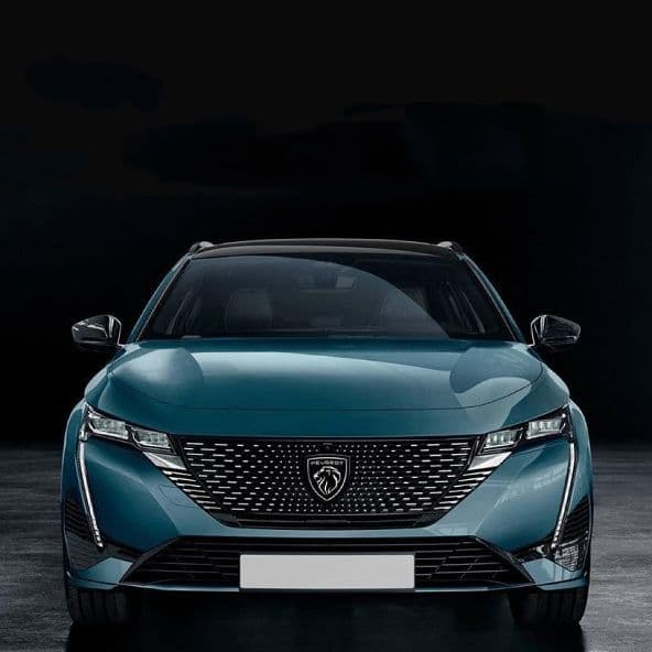 FREGIO ADESIVO 3D PER USO SU PEUGEOT LEONE NERO LUCIDO 6X6.6 ANTERIORE POSTERIORE in Stemmi e decorazioni per auto Solgeny - Besate, commercioVirtuoso.it