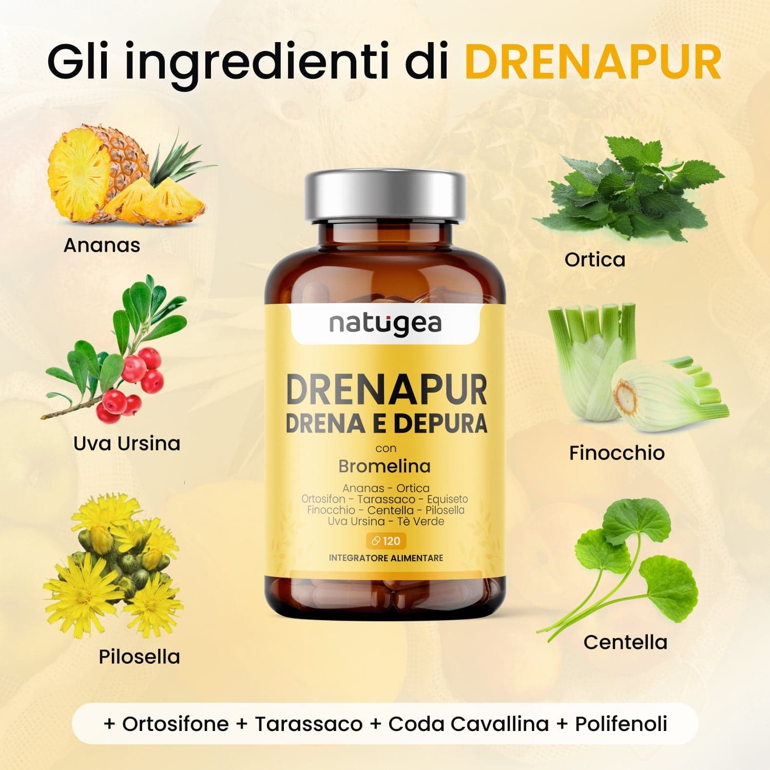 Drenante DRENAPUR® con 11 attivi in Diuretici Natugea - Pavia, commercioVirtuoso.it
