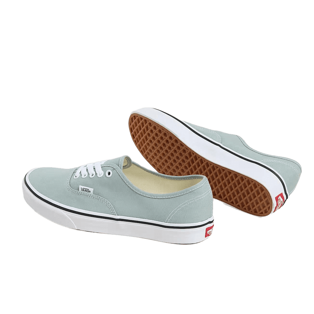 Sneakers Vans Authentic grey