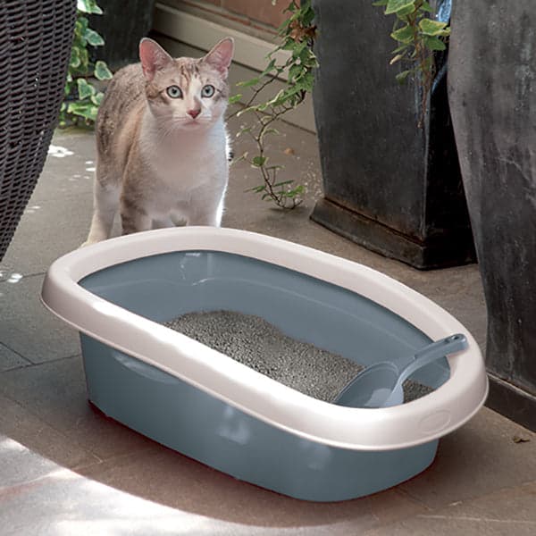 Lettiera aperta per cani e gatti con bordo igienico "Sprint" in Lettiere La Zappa - Altamura, commercioVirtuoso.it
