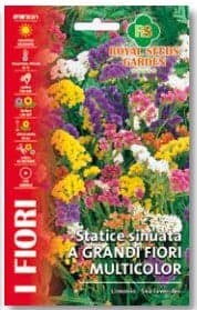 Statice Sinuata A Grandi Fiori Multicolor Semi Royal Seeds