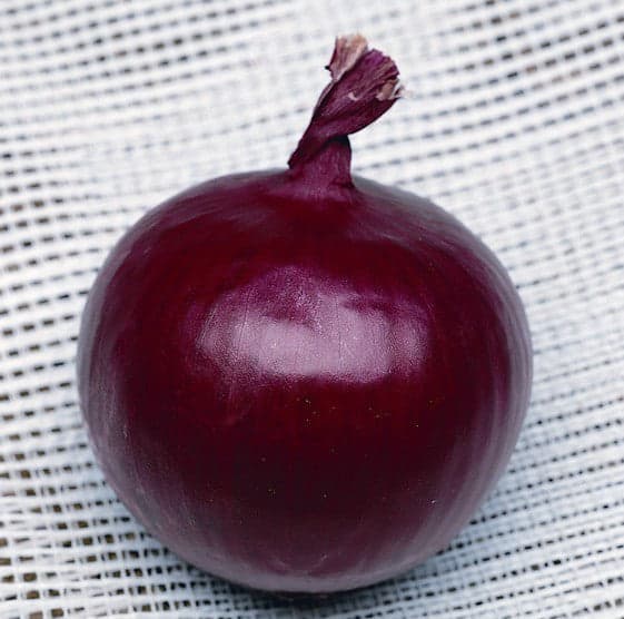 Cipolla Tropea Rossa Tonda-Record gr.500 Semi SAIS in Vegetali Taliachicce.it - Milazzo, commercioVirtuoso.it