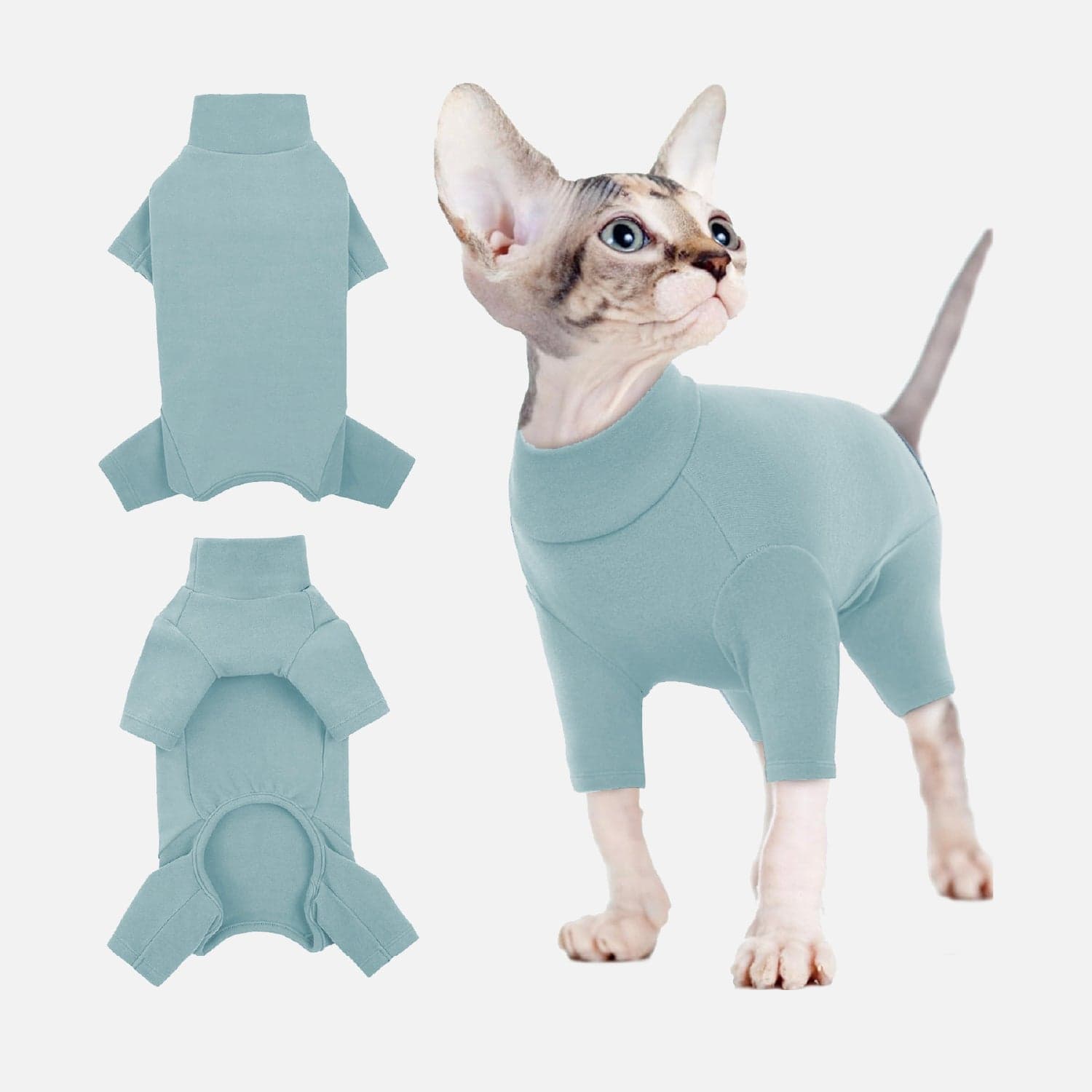 Abbigliamento e accessori per Gatti