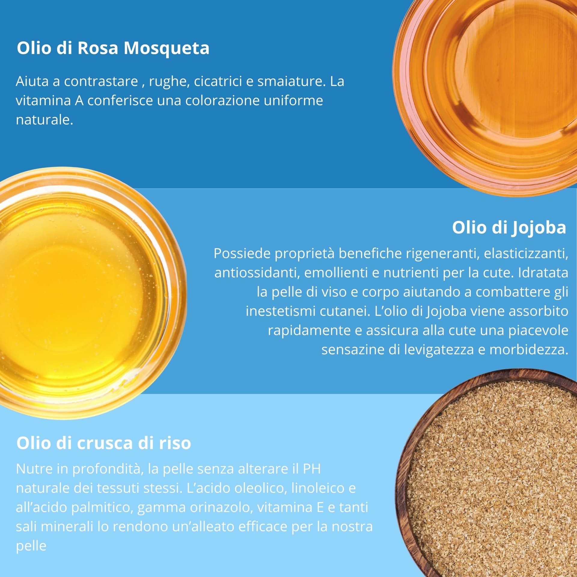 Cikatren Gocce – Siero Rigenerante Cicatrici e Smagliature – Elasticizzante con Rosa Mosqueta, Jojoba e Acido Ialuronico – Viso e Corpo 100ml in Sieri e liquidi BasketGuru Italia - Palermo, commercioVirtuoso.it
