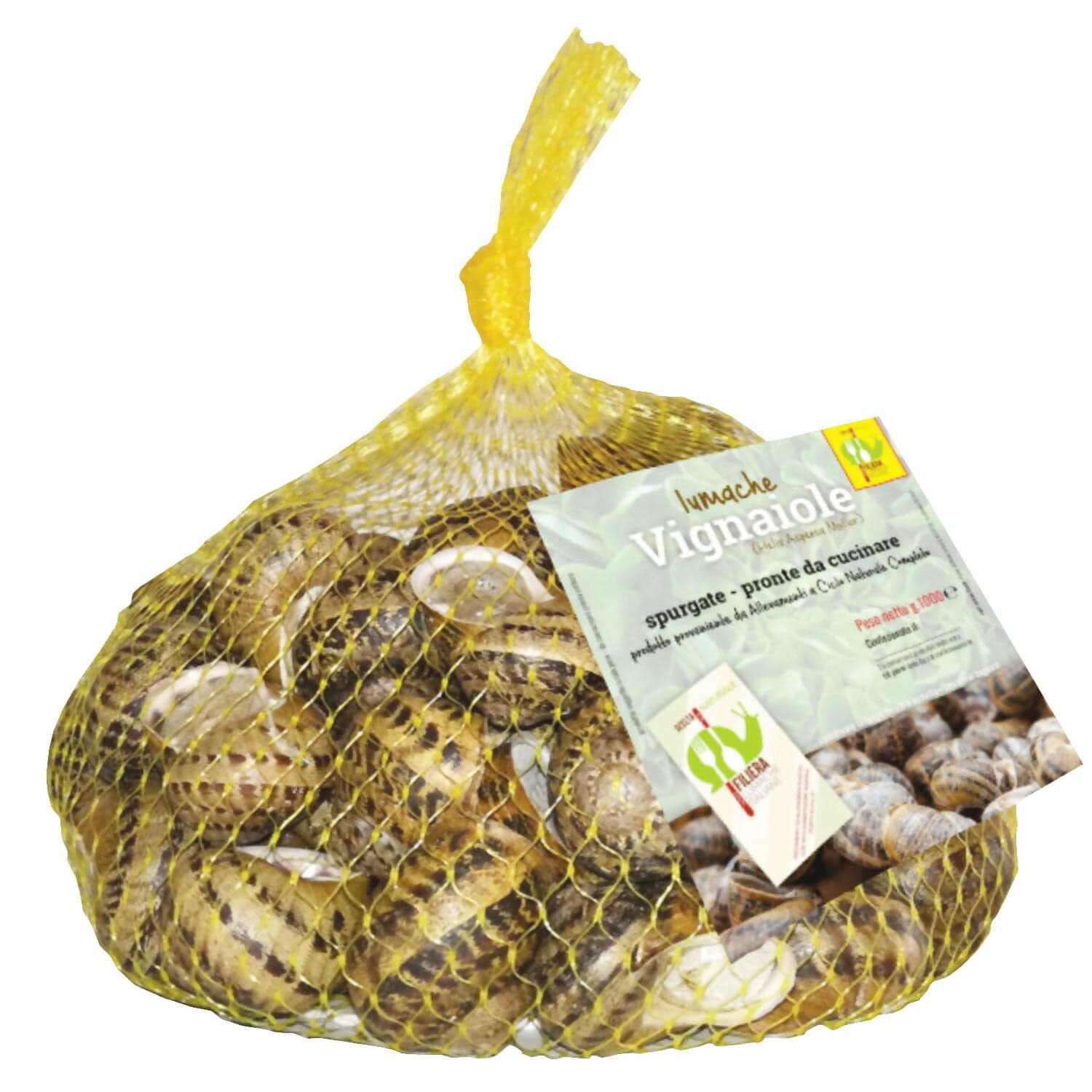 Lumache Da Mangiare
