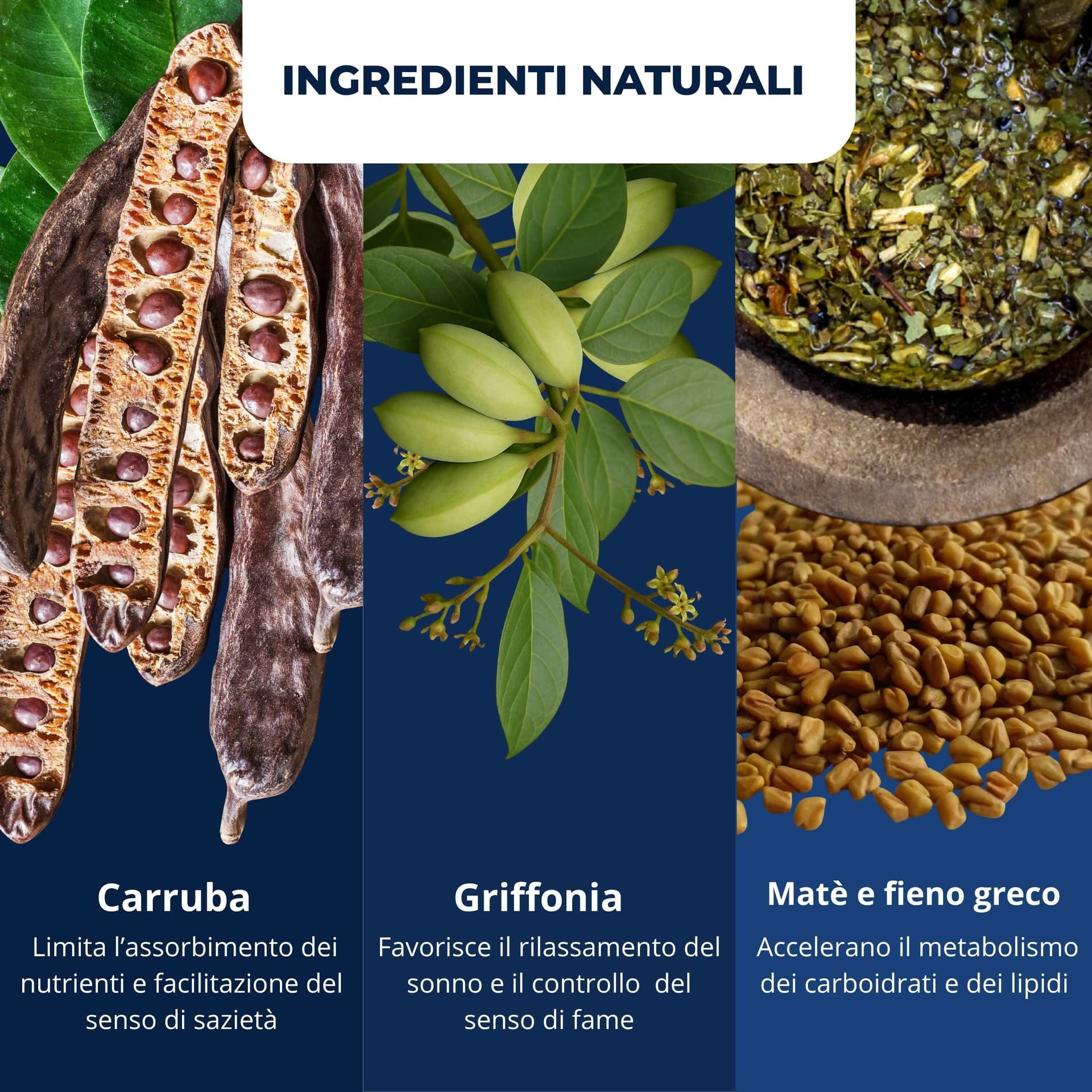 Brucia Grassi Notturno e Drenante con Garcinia e Tè Verde – Favorisce il Dimagrimento, Attiva il Metabolismo Riduce il Gonfiore Ritenzione Idrica | AlohaLabs Leggerissima Notte 60 Compresse in Disintossicazione e purificazione BasketGuru Italia - Palermo, commercioVirtuoso.it