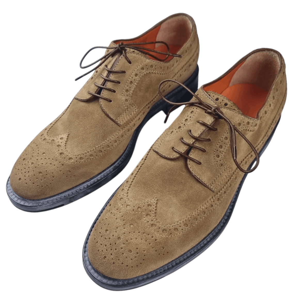 Scarpa Uomo Santoni - Derby Brogue Rondine in Scarpe stringate basse Couture - Sestu, commercioVirtuoso.it
