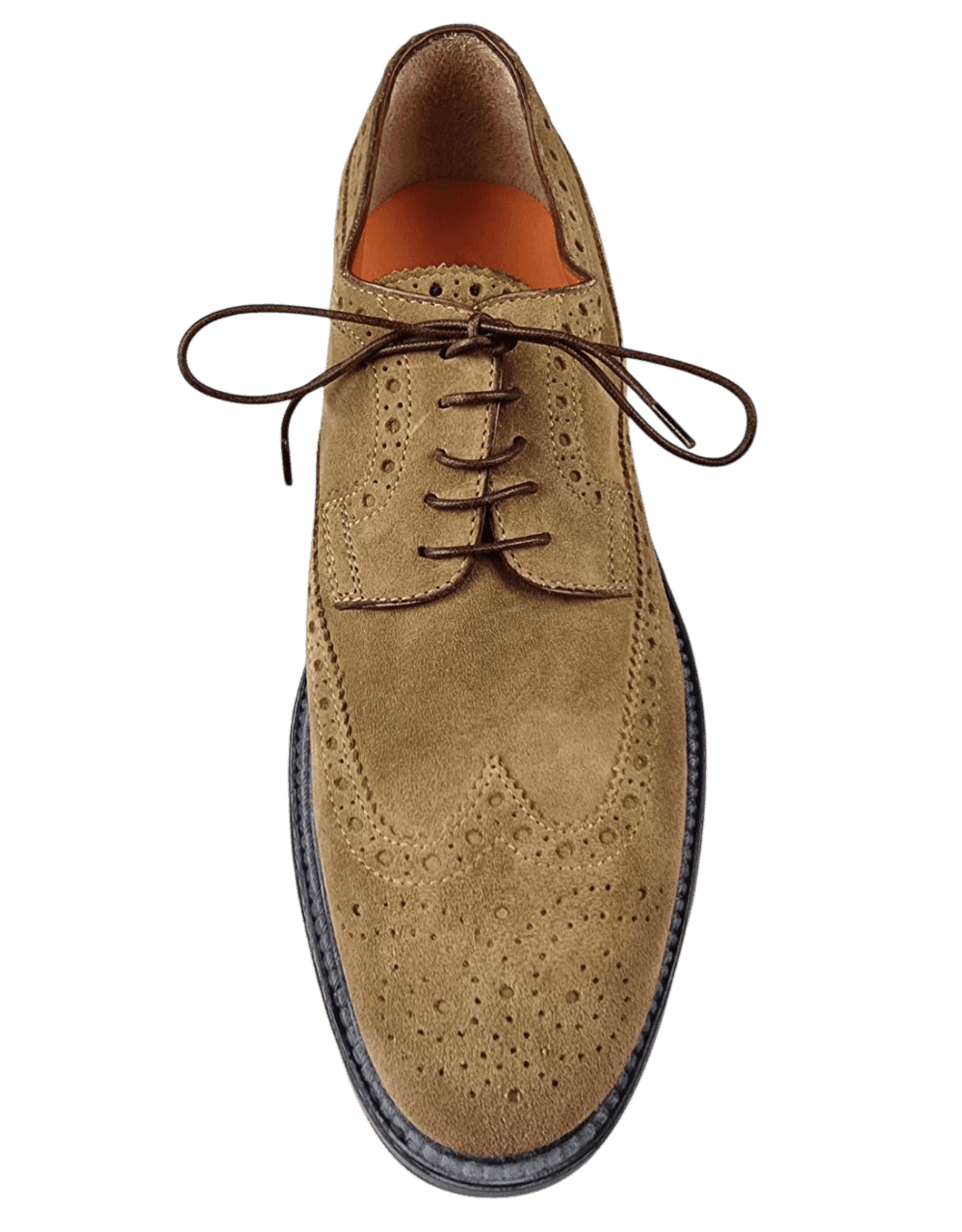 Scarpa Uomo Santoni - Derby Brogue Rondine in Scarpe stringate basse Couture - Sestu, commercioVirtuoso.it
