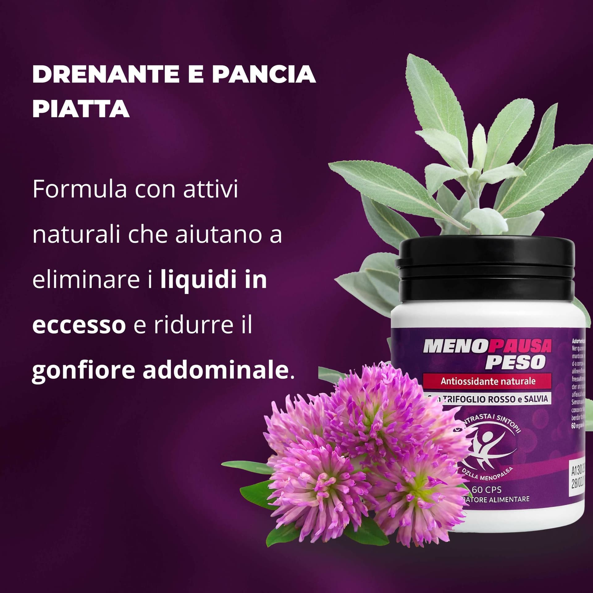Integratore Menopausa Peso con Salvia e Trifoglio Rosso – Riduce Vampate di Calore, Supporta il Benessere Ormonale e l’Equilibrio Psicofisico | AlohaLabs 60 Compresse in Soppressori dell'appetito BasketGuru Italia - Palermo, commercioVirtuoso.it
