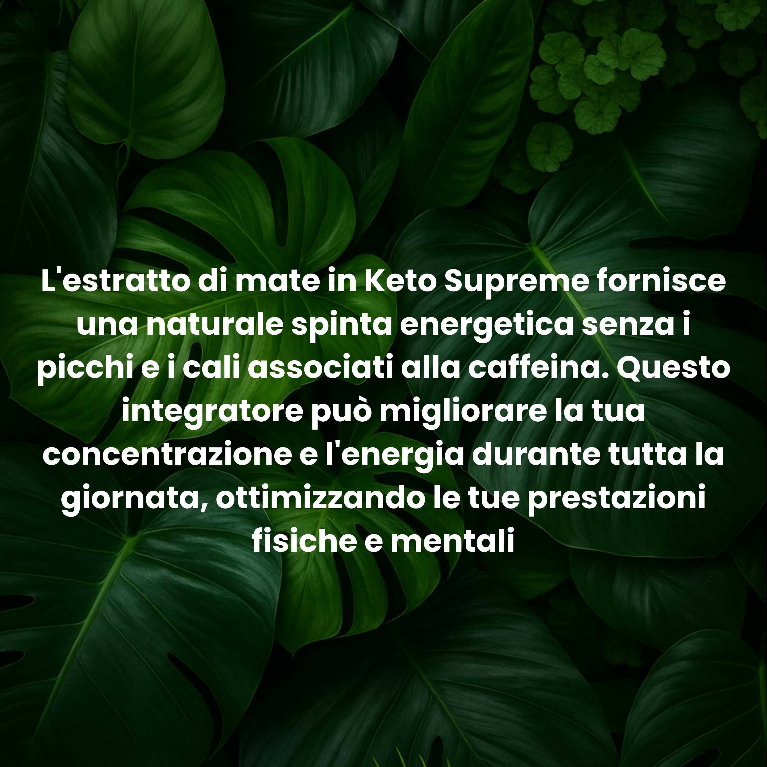 Keto Supreme - Integratore Naturale Dimagrante con Griffonia, Mate e Fieno Greco | Brucia Grassi e Controllo dell'Appetito | 30 Compresse in Bruciatori di grasso BasketGuru Italia - Palermo, commercioVirtuoso.it
