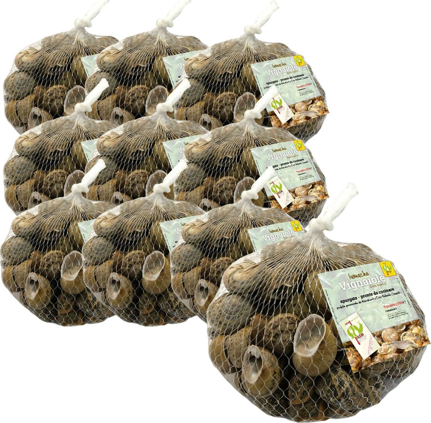 Lumache Vignaiole Italiane da Gastronomia HELIX ASPERSA Spurgate Pronte da Cucinare 100% Italiane in Lumache Coclè - Piana di Monte Verna, commercioVirtuoso.it