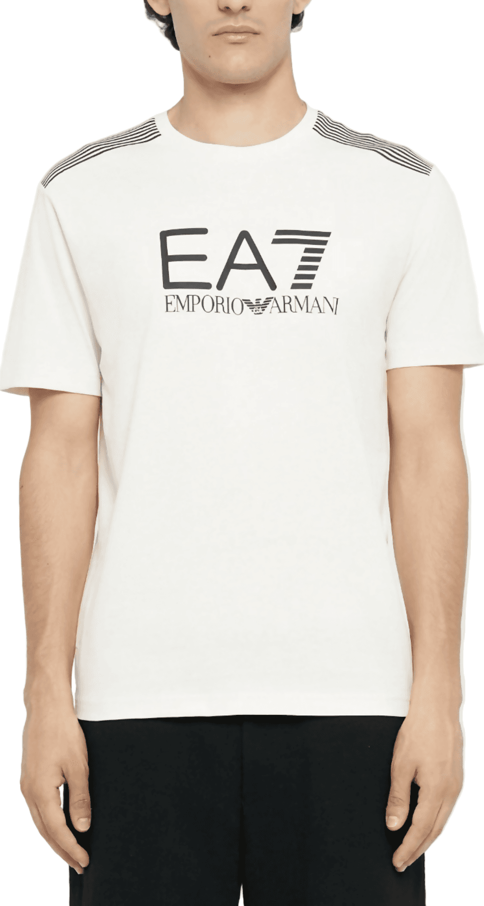 Emporio Armani T-Shirt Uomo Girocollo 7 Lines in Jersey Di Misto Cotone Asv in T-shirt Euforia - Bronte, commercioVirtuoso.it