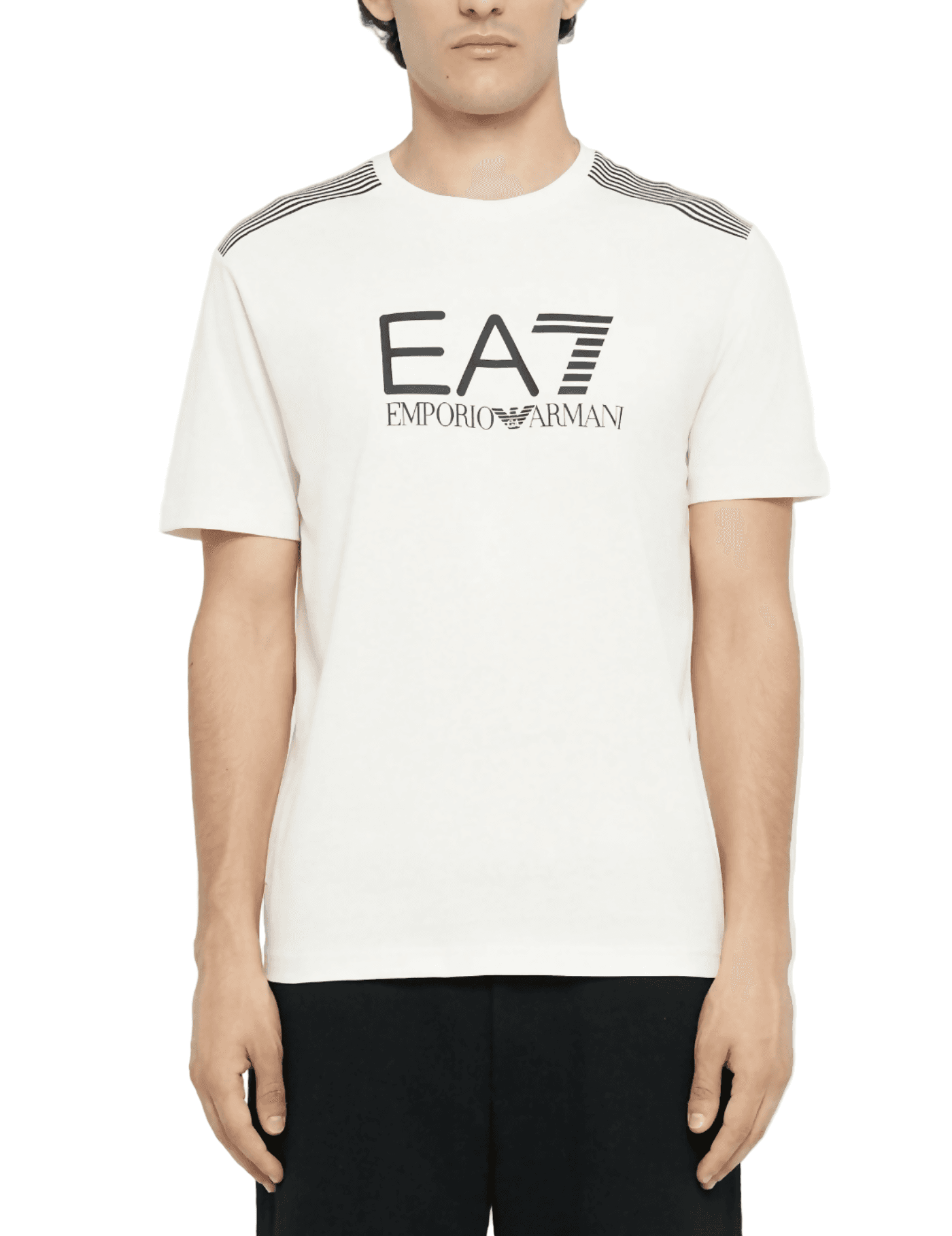Emporio Armani T-Shirt Uomo Girocollo 7 Lines in Jersey Di Misto Cotone Asv in T-shirt Euforia - Bronte, commercioVirtuoso.it