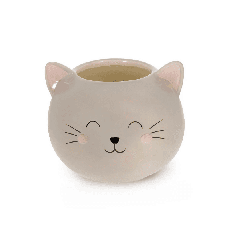 gatto 2