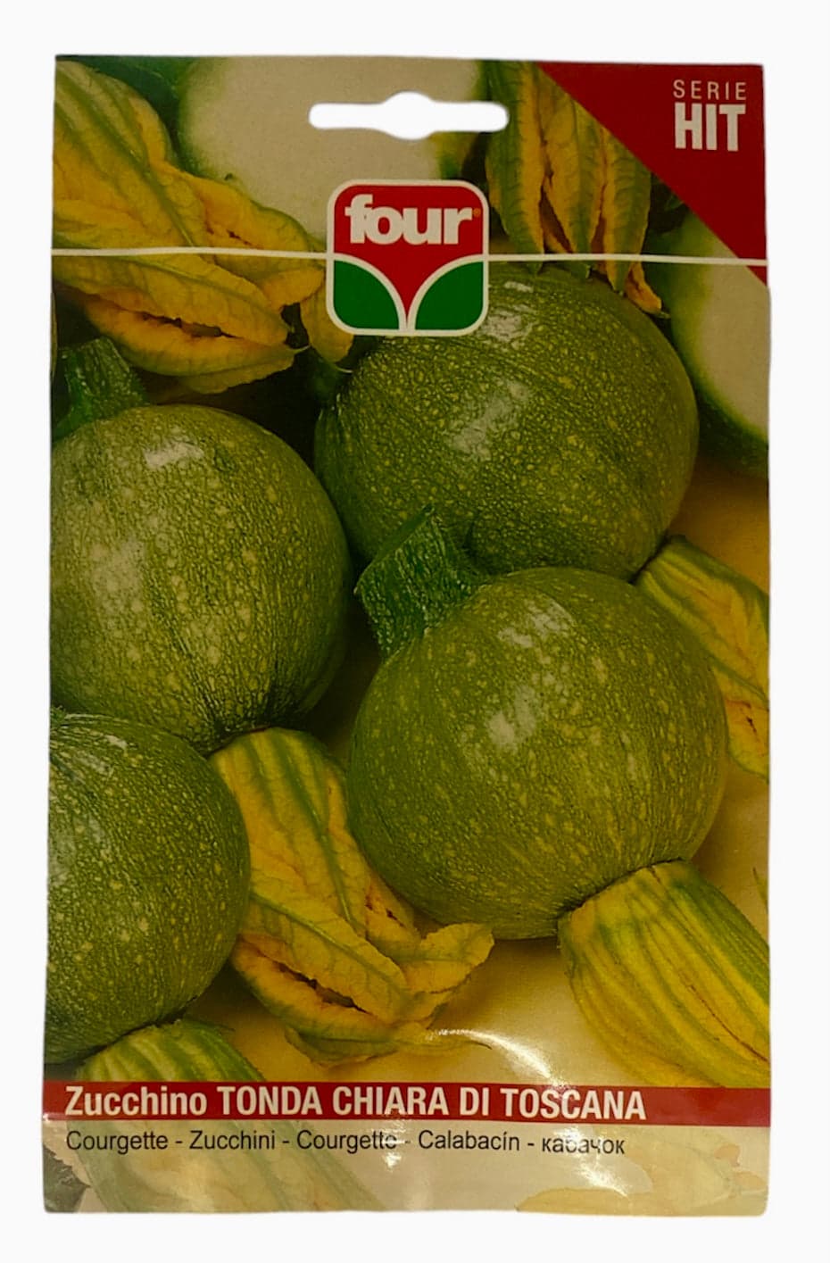 Zucchino Tonda Chiara di Toscana Semi Four
