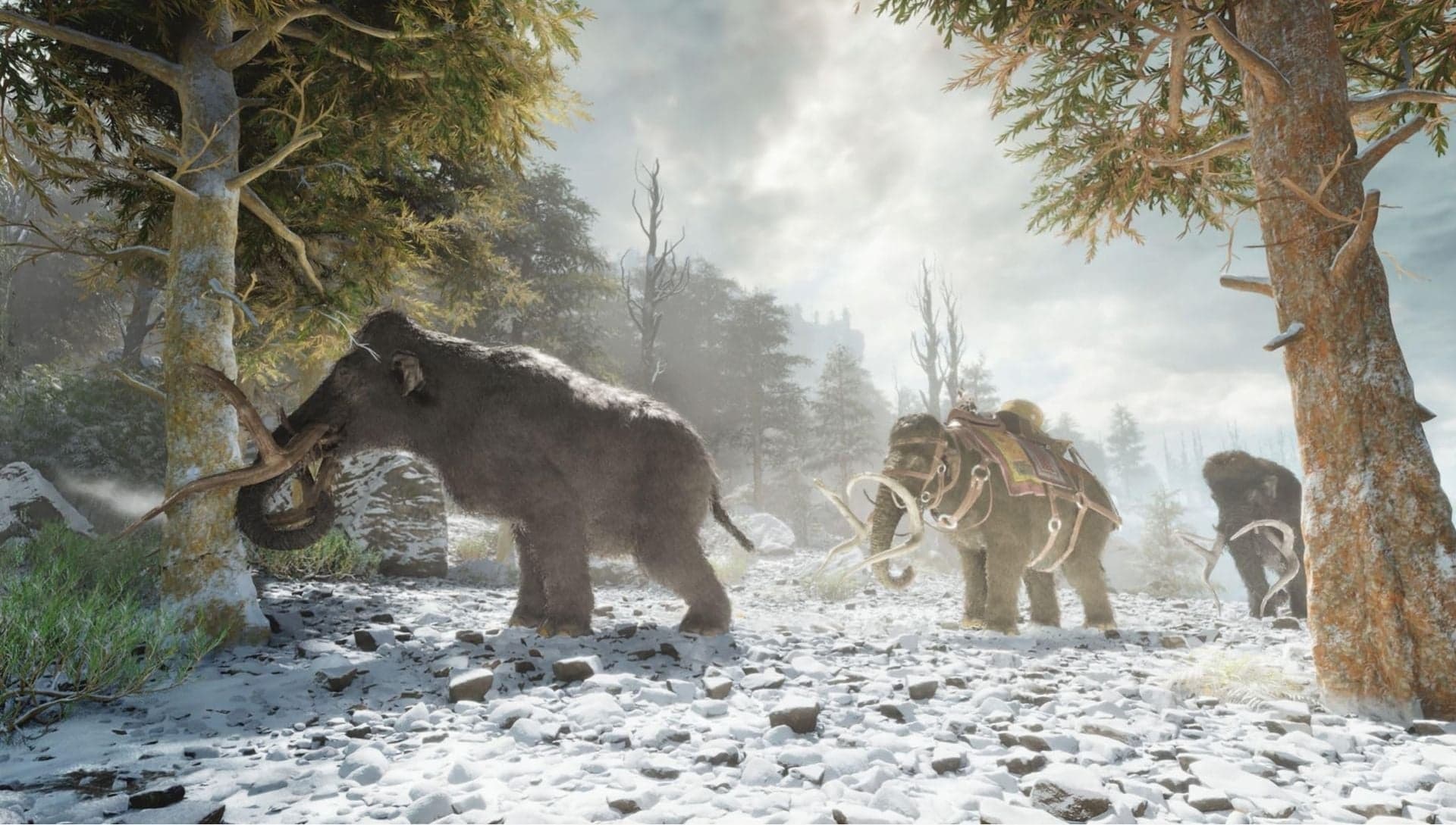 Ark Survival Ascended PS5 UK Usato in Coltellini svizzeri Prezzo Bomba Store - Casalnuovo di Napoli, commercioVirtuoso.it