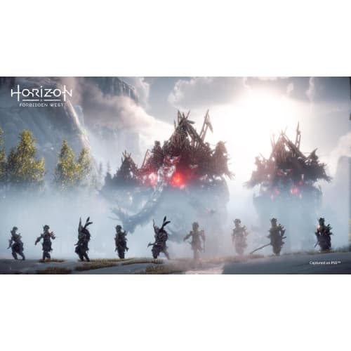 Horizon Forbidden West PS4/PS5 Pl Usato in Giochi Prezzo Bomba Store - Casalnuovo di Napoli, commercioVirtuoso.it